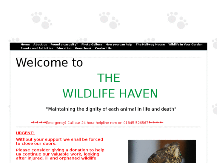 www.thewildlifehaven.org