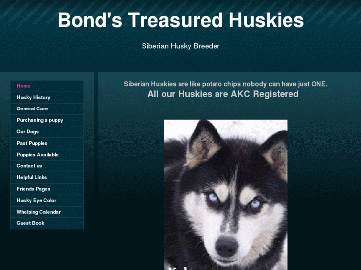 www.treasuredhuskies.com