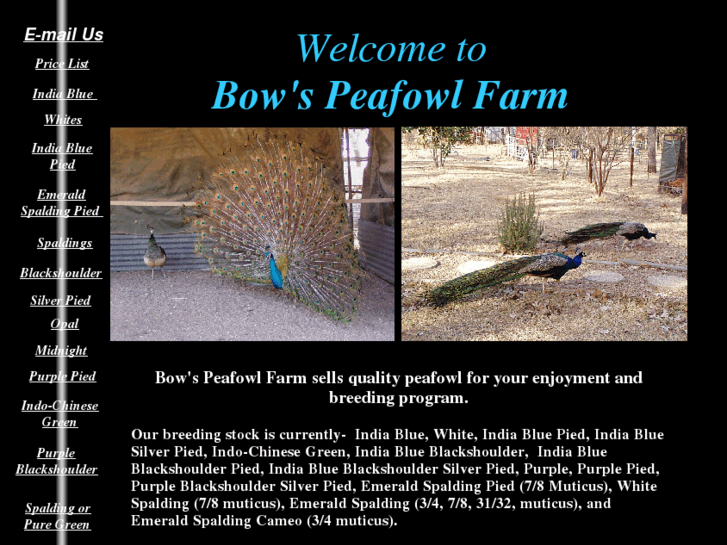 www.bowspeafowlfarm.com