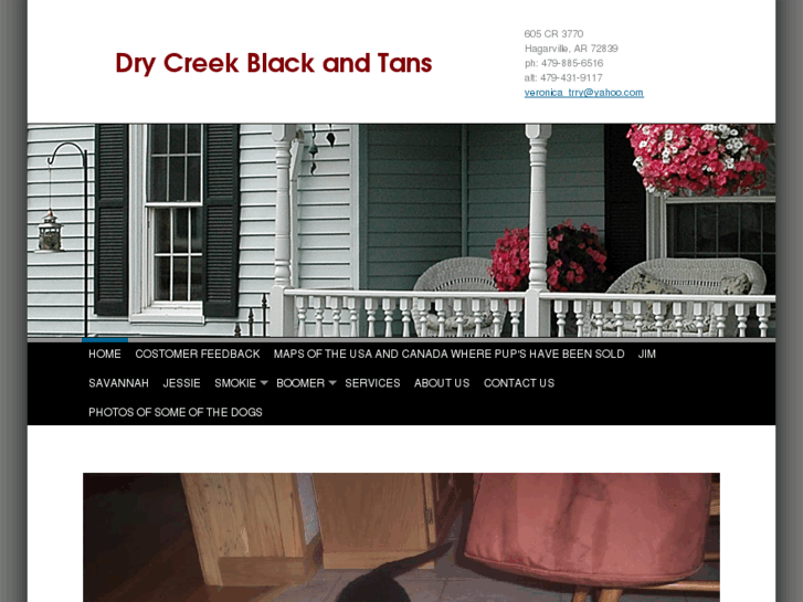 www.drycreekblackandtans.com