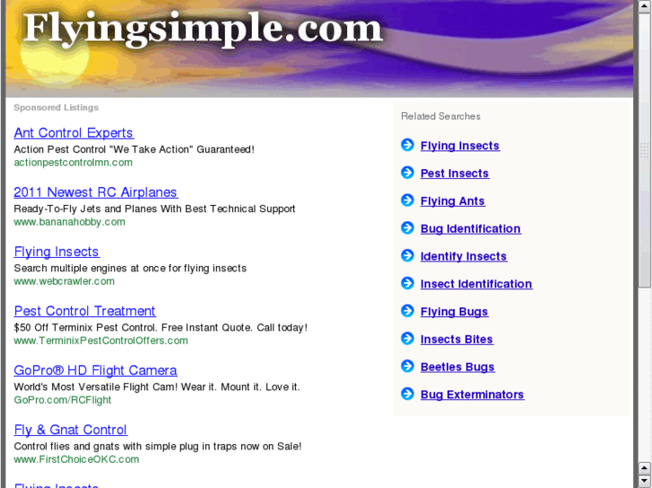 www.easyflyingtips.com