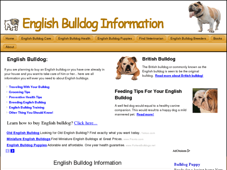 www.englishbulldoginformation.org