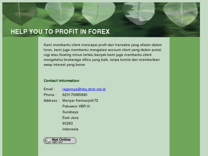 www.forexindoonline.com