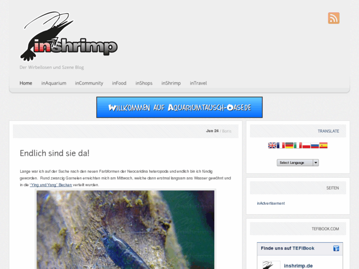 www.inshrimp.de