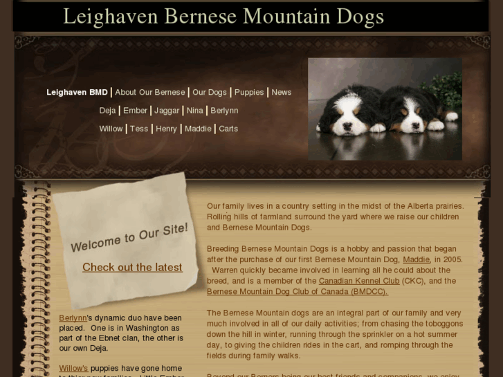 www.leighavenbmd.com