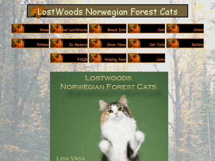 www.lostwoodswegies.com