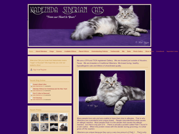 www.nadezhdasiberians.com