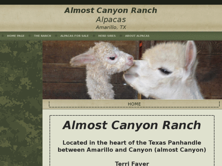 www.almostcanyonranch.com