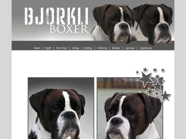 www.bjorkliboxer.com