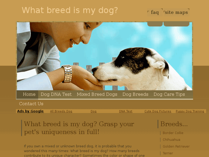 www.dog-breed-test.com