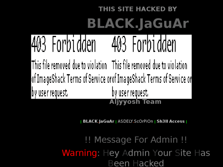 www.flip-websites.net