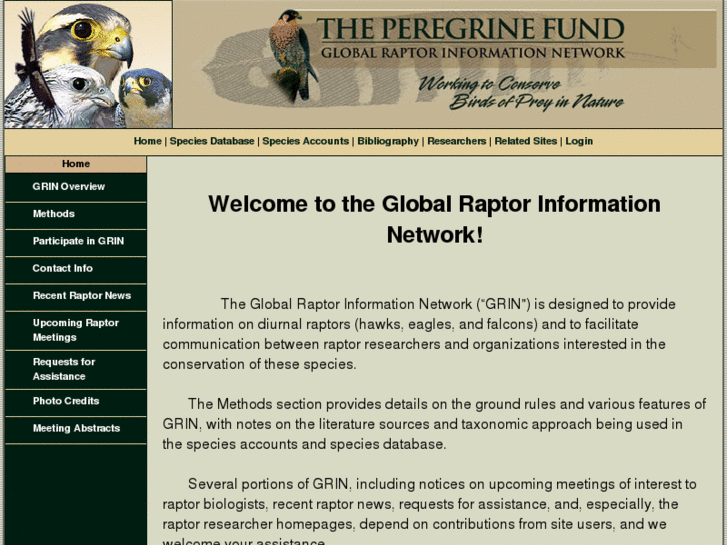 www.globalraptors.com