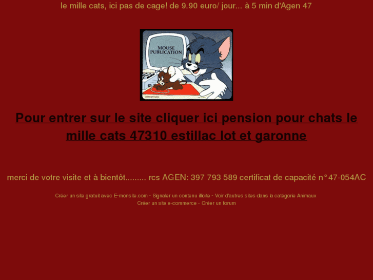 www.millecats.com