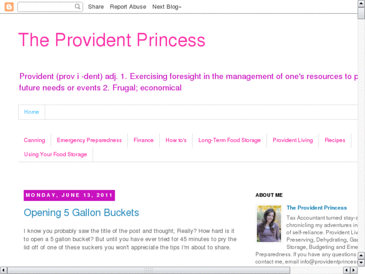 www.providentprincess.com