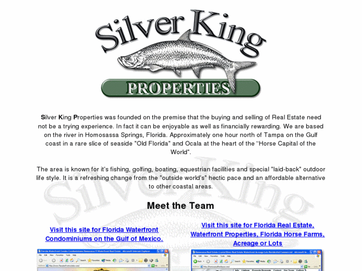 www.silverkingproperties.com