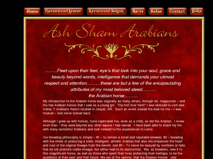 www.ashshamarabians.com