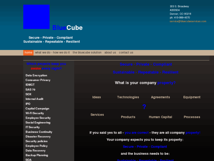 www.bluecubeservices.com