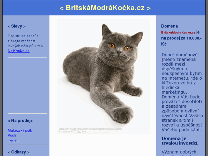 www.britskamodrakocka.cz