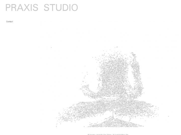 www.praxisstudio.org