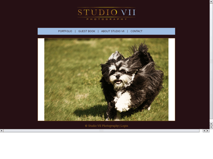 www.studiovii.net