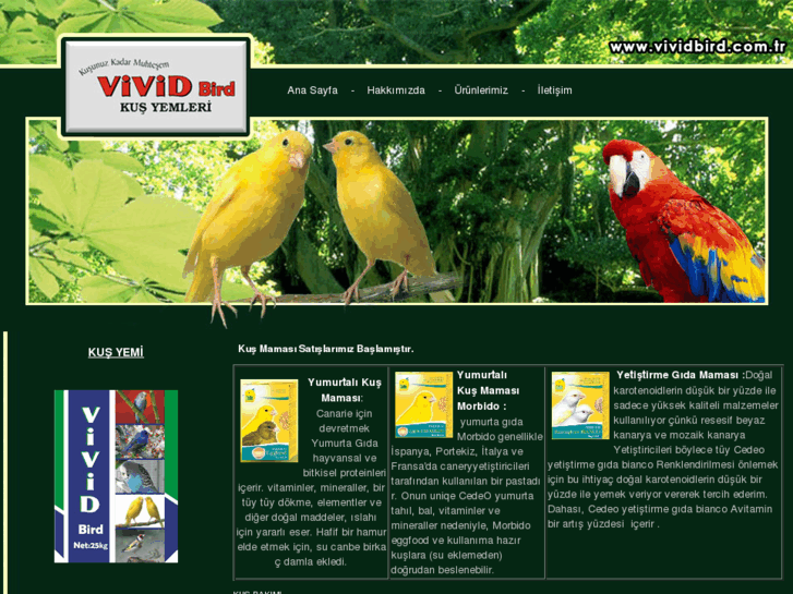 www.vividbird.com