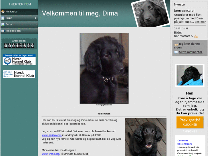 www.hjerterfem.com