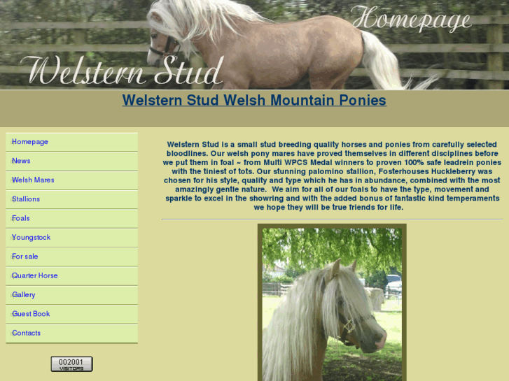 www.welsternstud.com