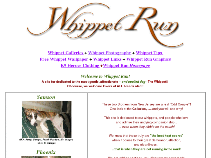 www.whippetrun.com