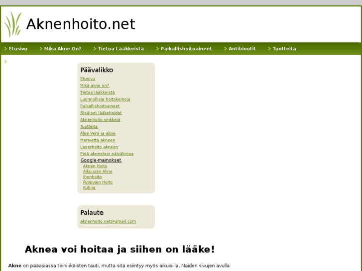 www.aknenhoito.net