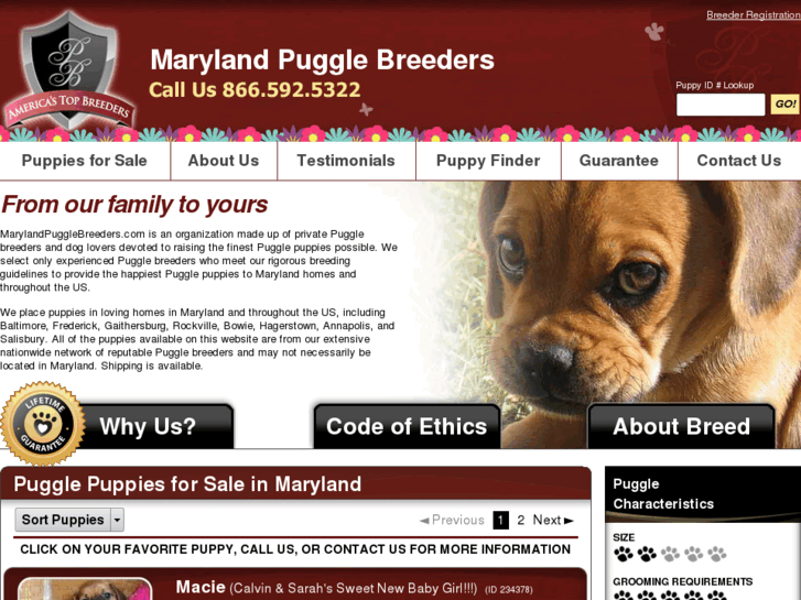 www.marylandpugglebreeders.com