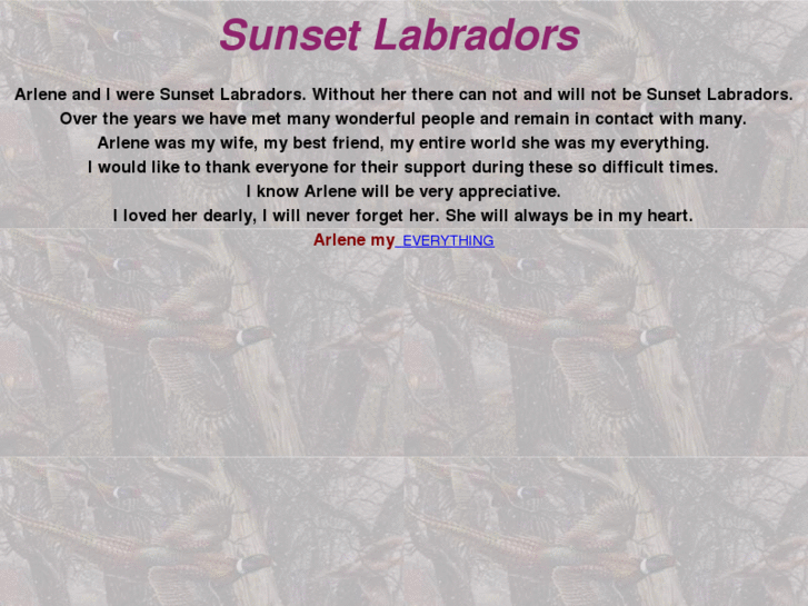 www.sunsetlabradors.com