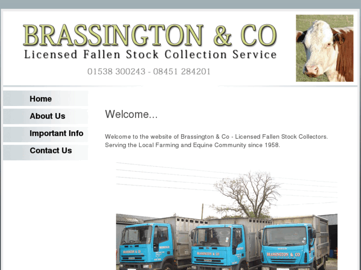 www.brassingtonandco.com