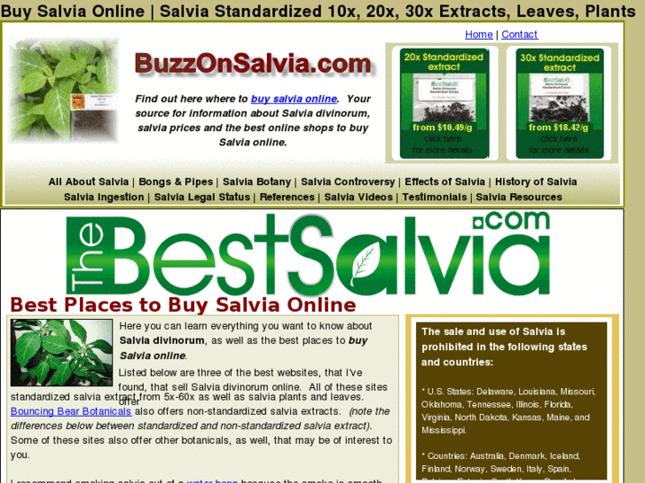 www.buzzonsalvia.com