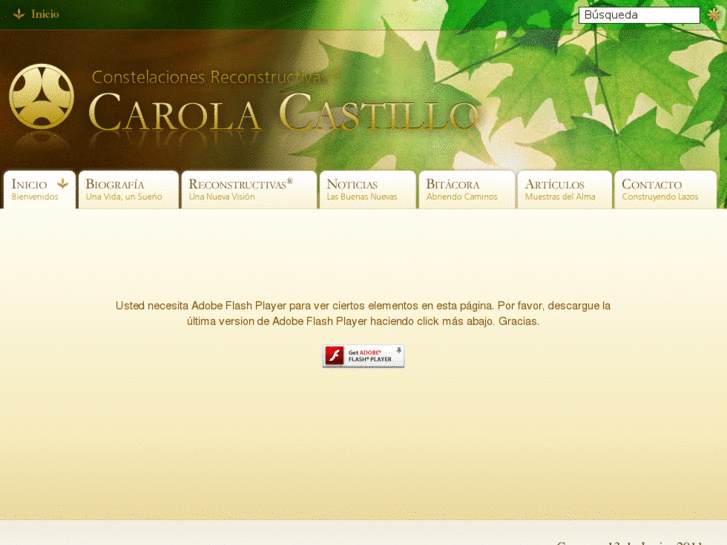 www.carolacastillo.com