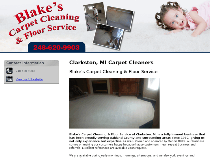 www.carpettilecleaningmichigan.com