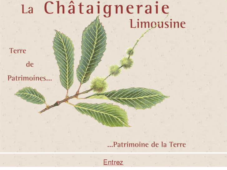 www.chataigneraielimousine.com