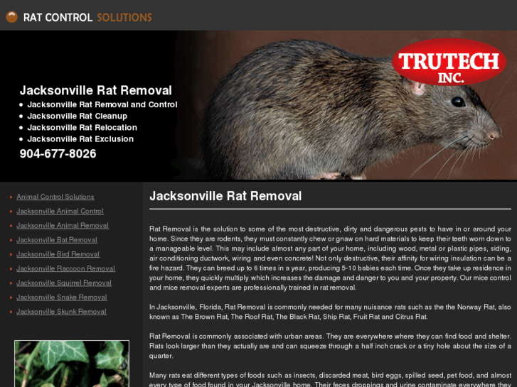 www.jacksonvilleratremoval.com