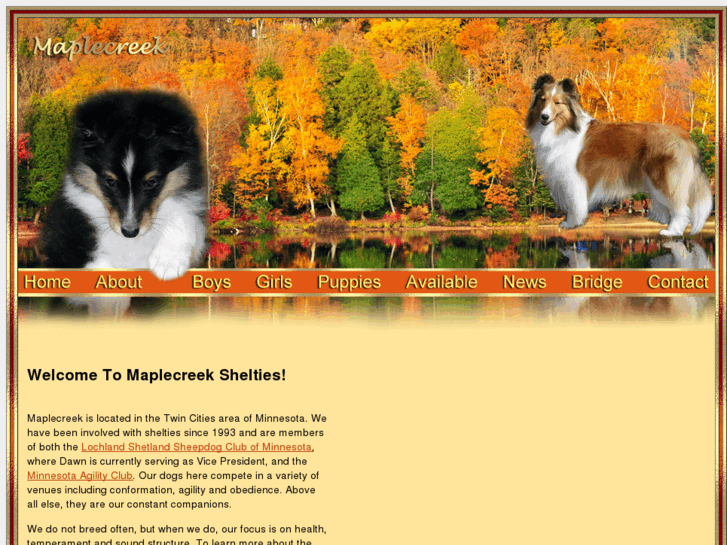 www.maplecreekshelties.com