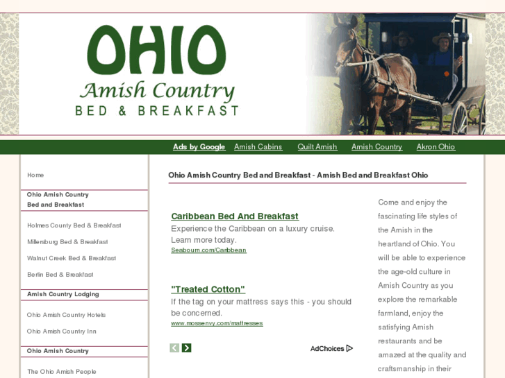 www.ohioamishcountrybedandbreakfast.com