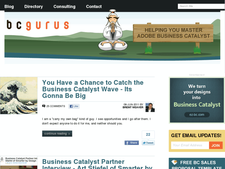 www.bcgurus.com