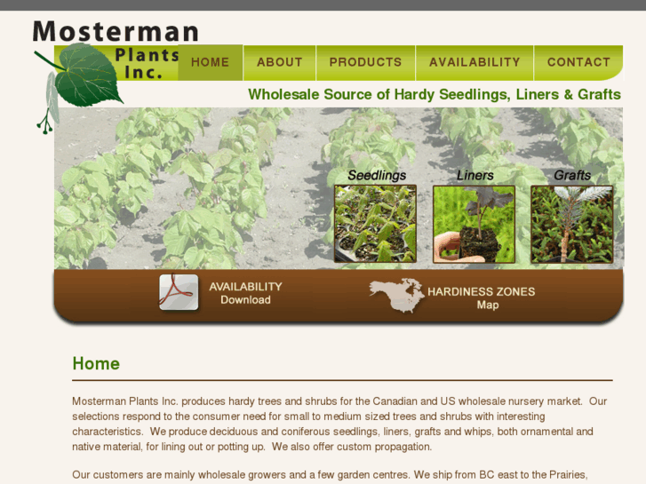 www.mostermanplants.com