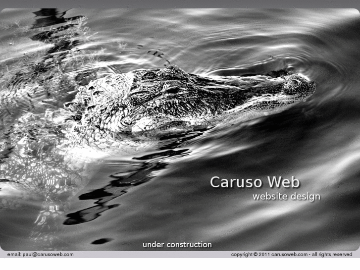 www.carusoweb.com