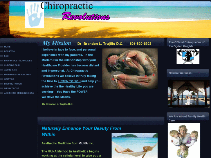 www.chiropracticrevolutions.com