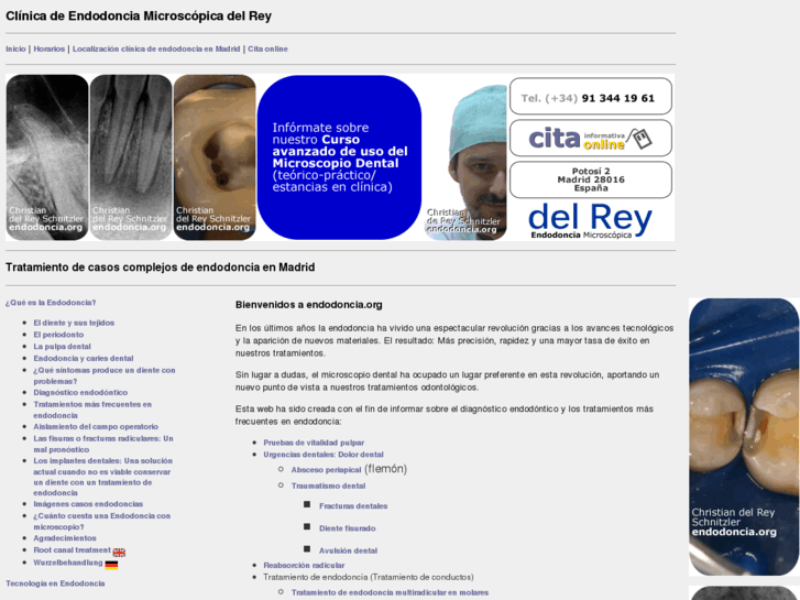 www.endodoncia.org