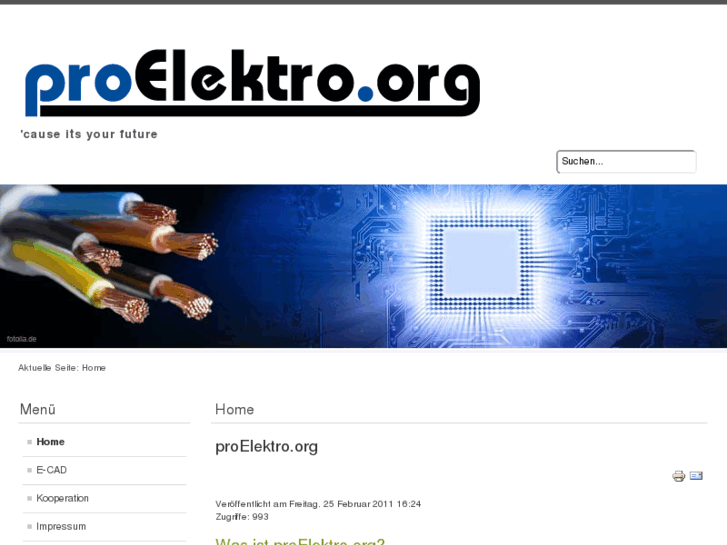 www.proelektro.org