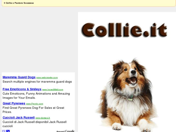 www.collie.it