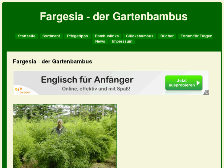 www.fargesia.de