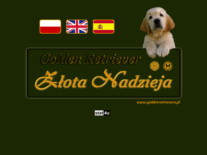 www.goldenretrievers.pl