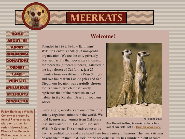 www.meerkats.com