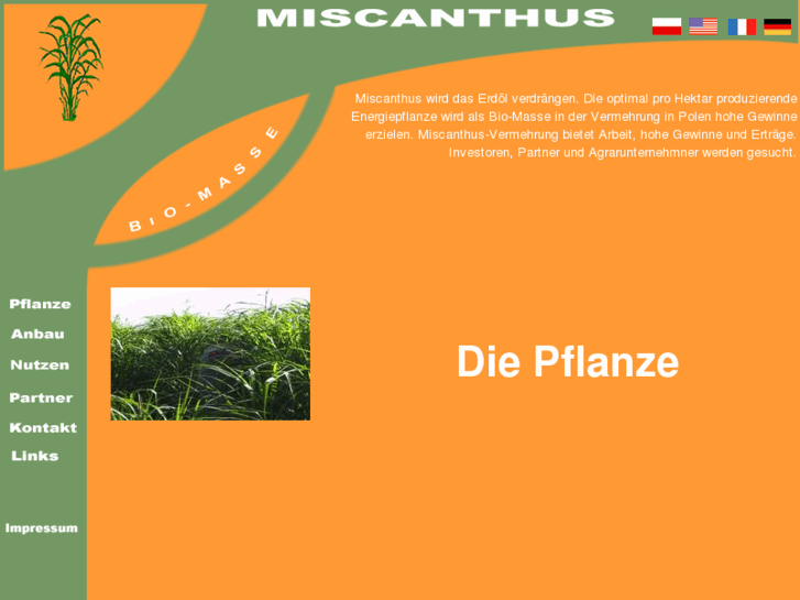 www.miscanthus-legi.com